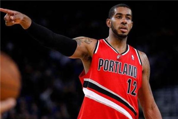 职业生涯的 职业生涯的